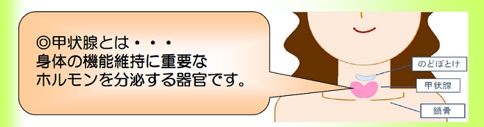 lp329pie65xni_bz7rufapgi70xypxxi.jpg